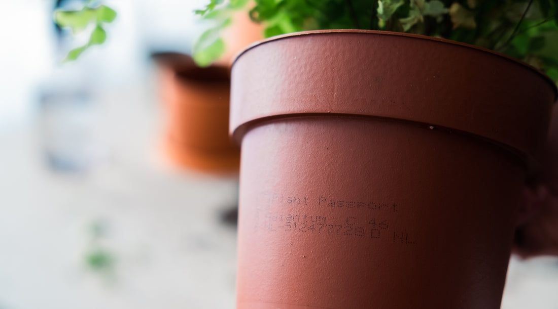 Eco-certifications and plant passports