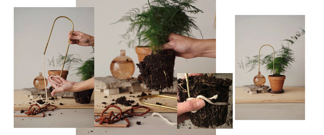 How do plant straws work?