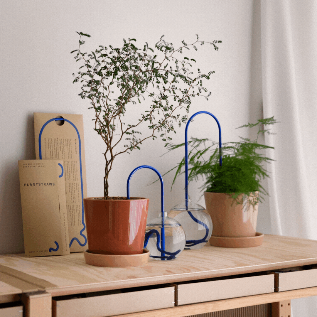 Plant Straws Mixed Colors Set