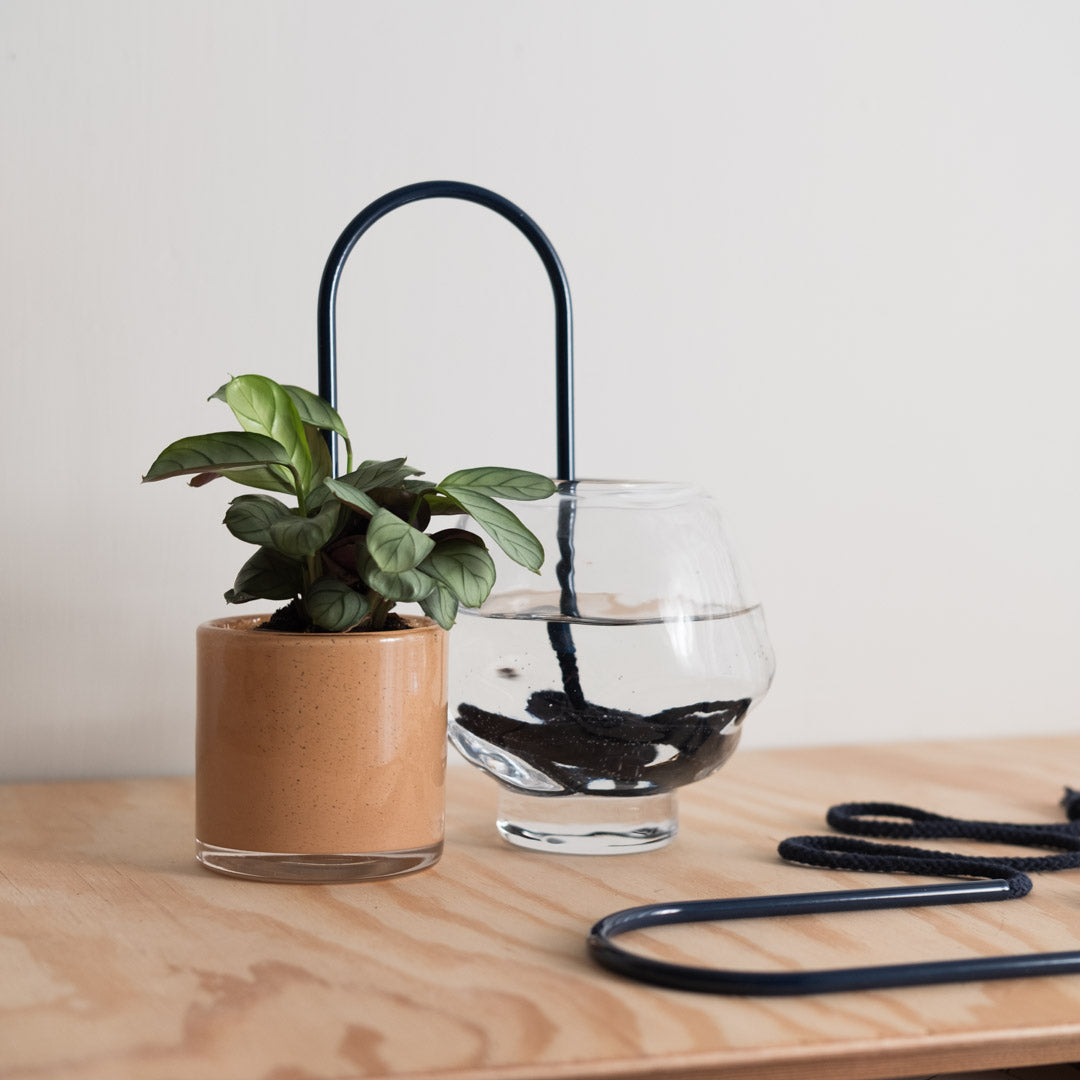 Plant Straws Small