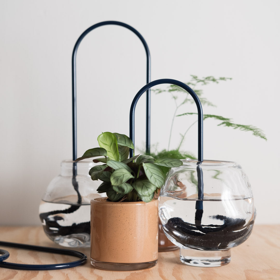 Plant Straws Small