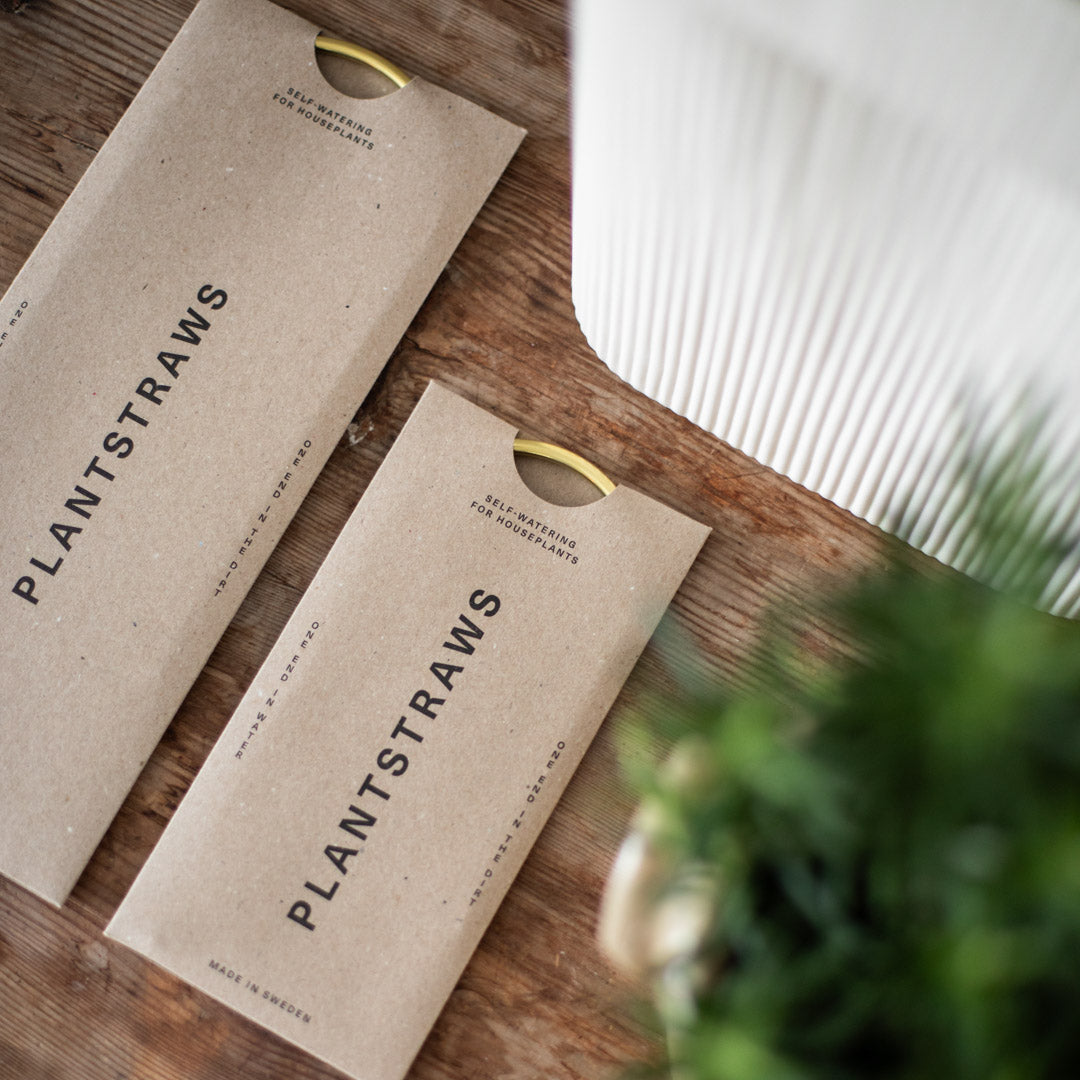 Plant Straws Small