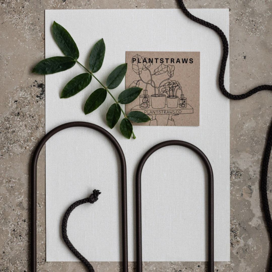 Plant Straws Small