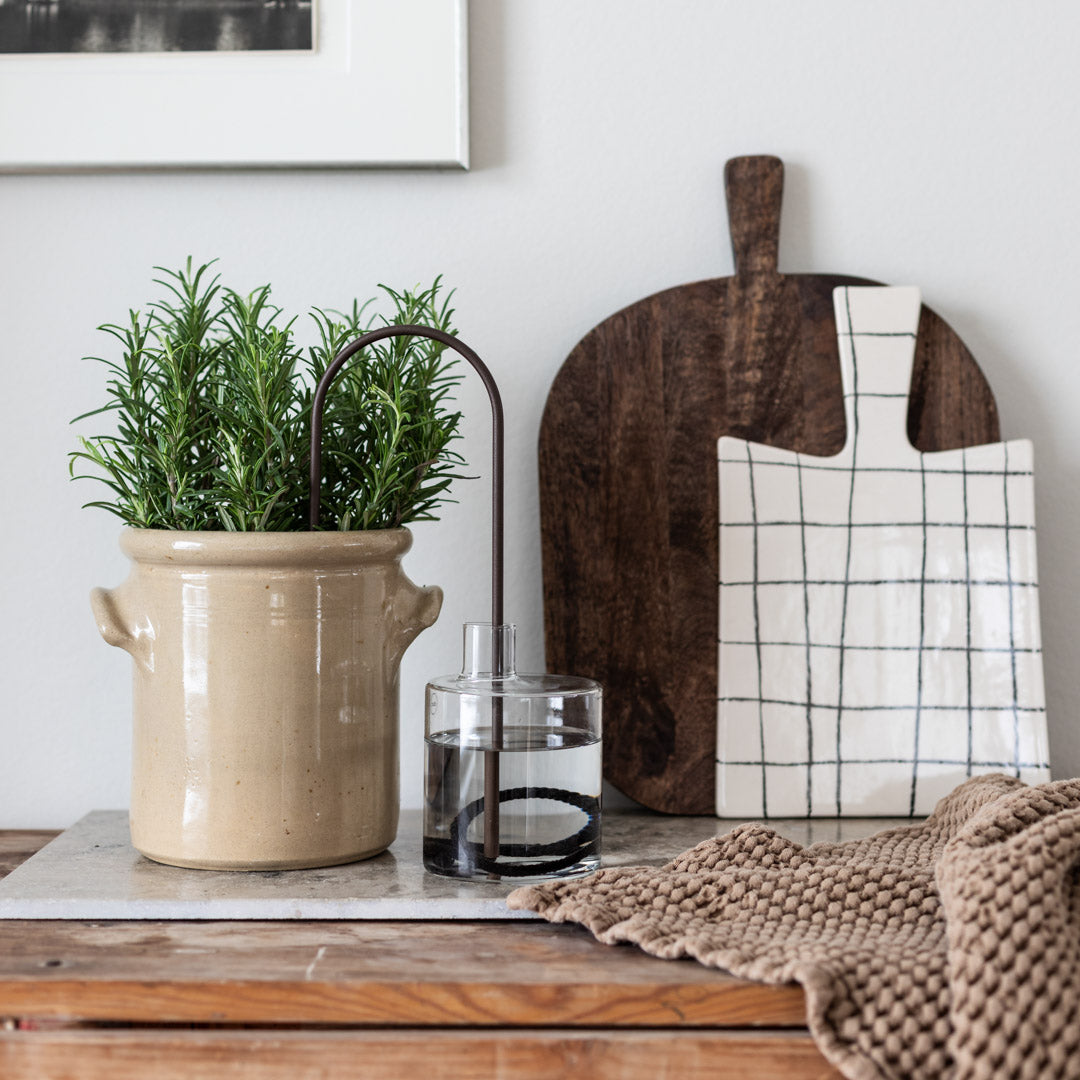 Plant Straws Medium