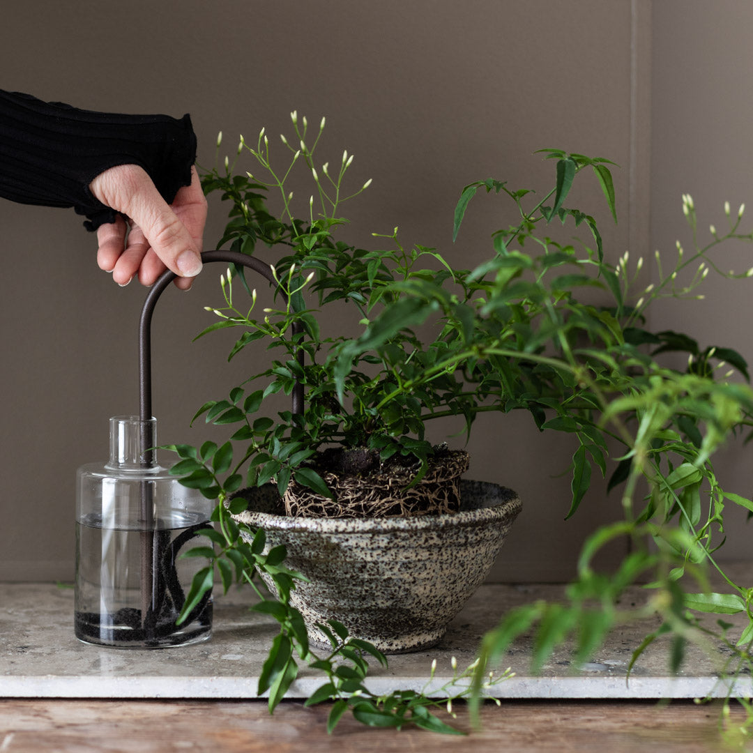 Plant Straws Small