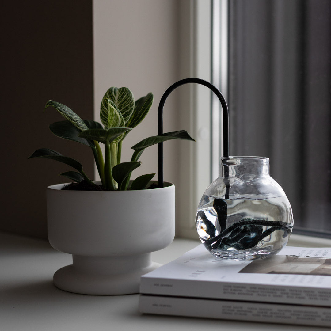 Plant Straws Small