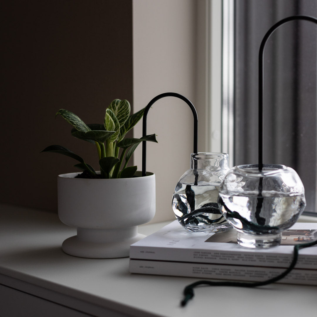 Plant Straws Medium