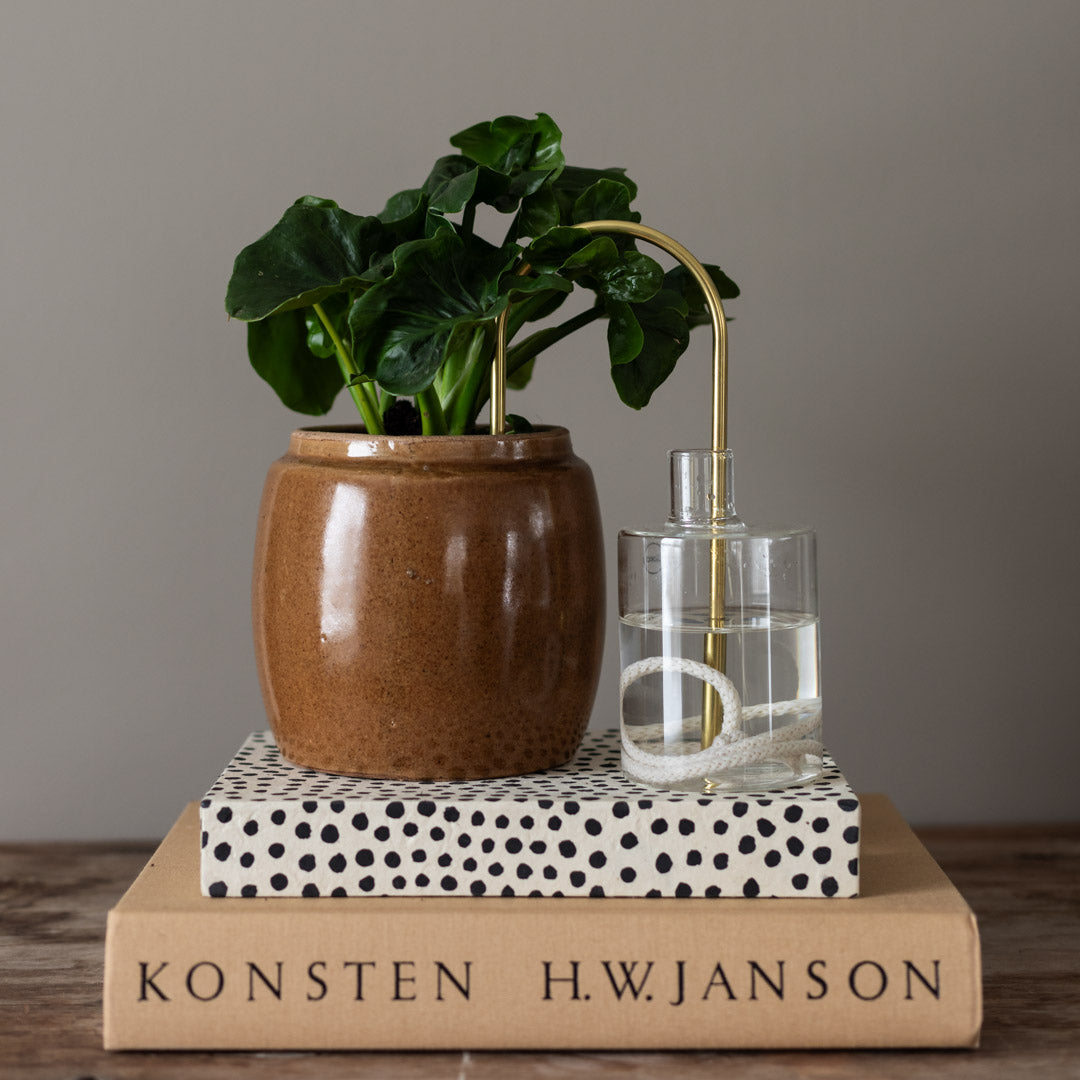 Plant Straws Small