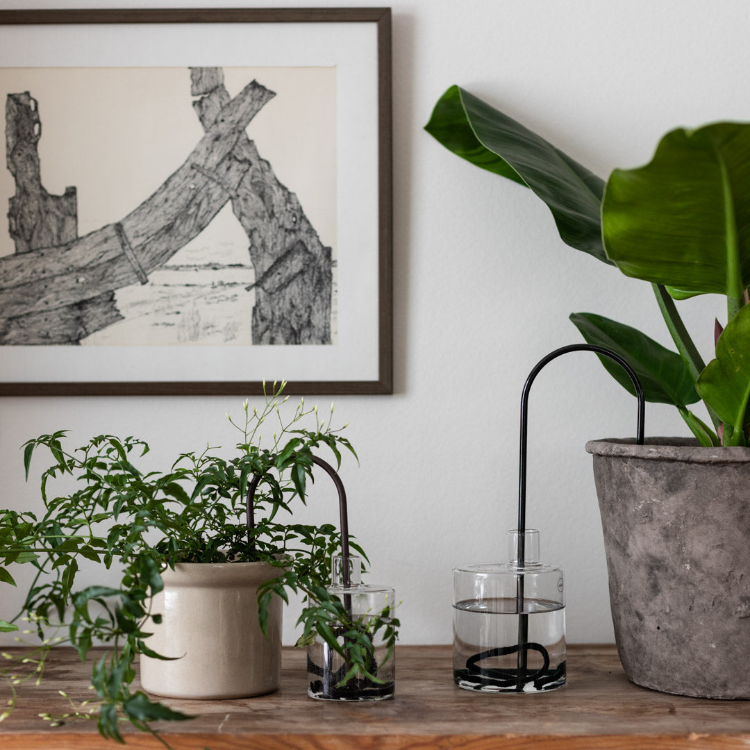 Plant Straws Small