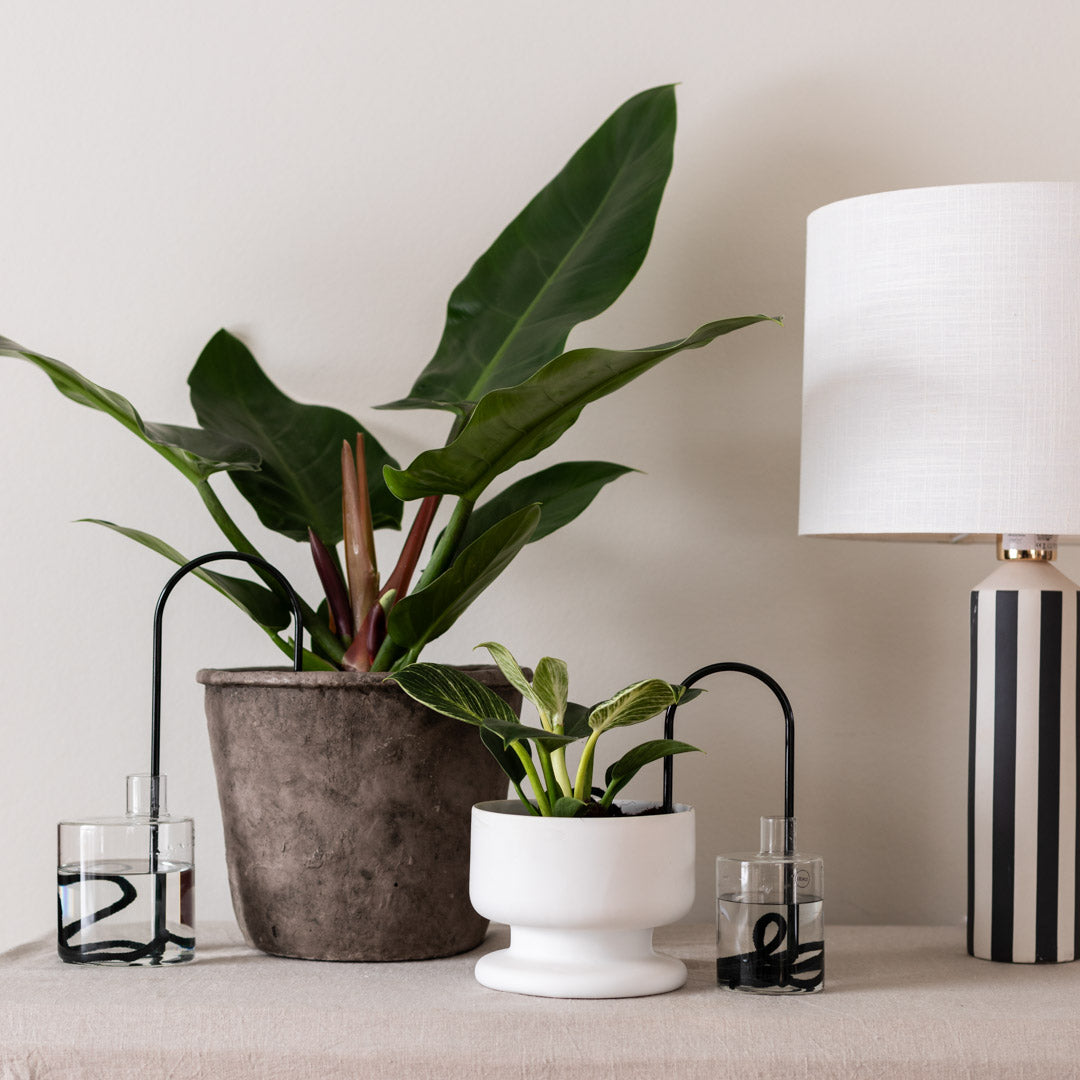 Plant Straws Small