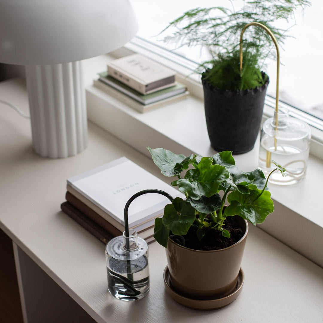 Plant Straws Small