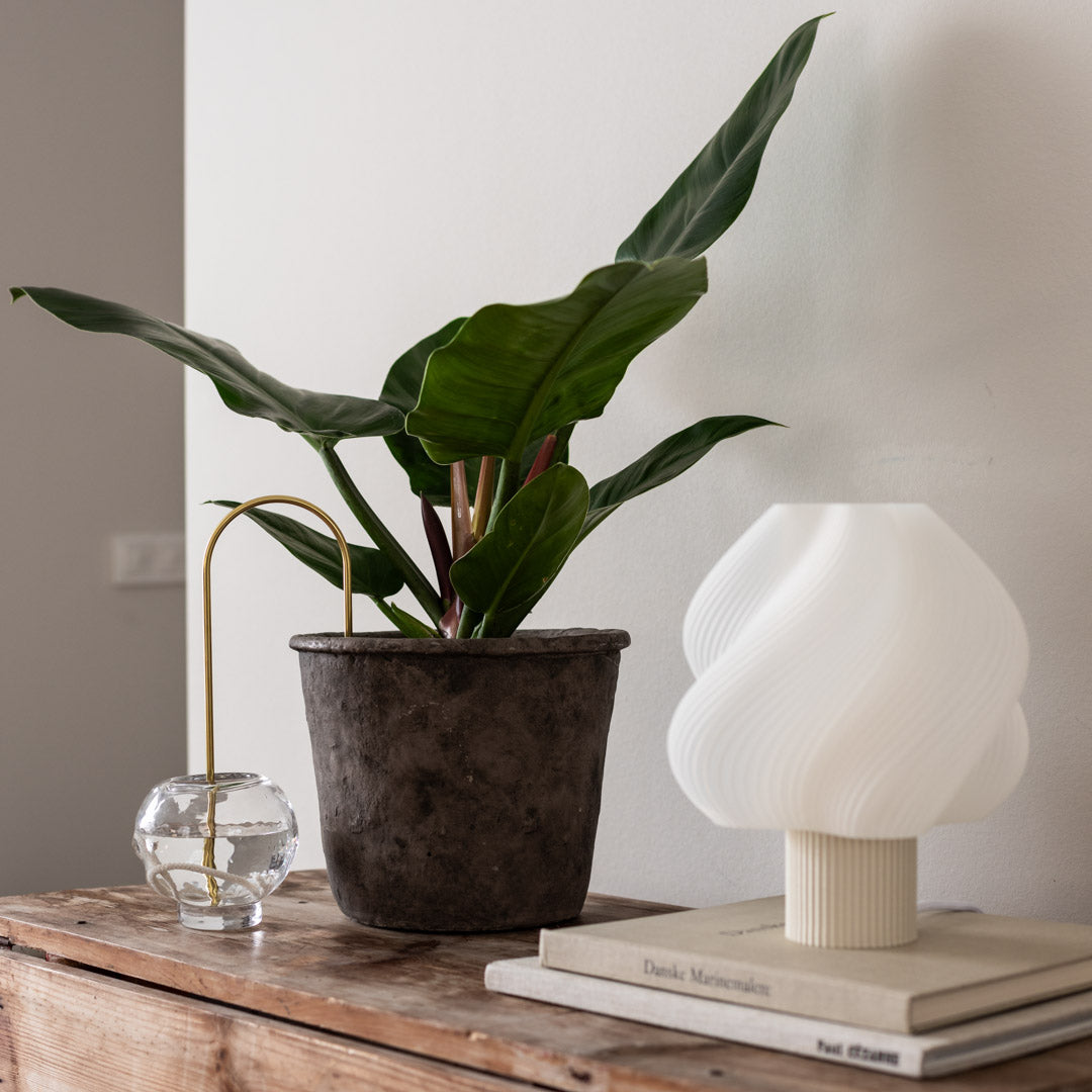 Plant Straws Medium