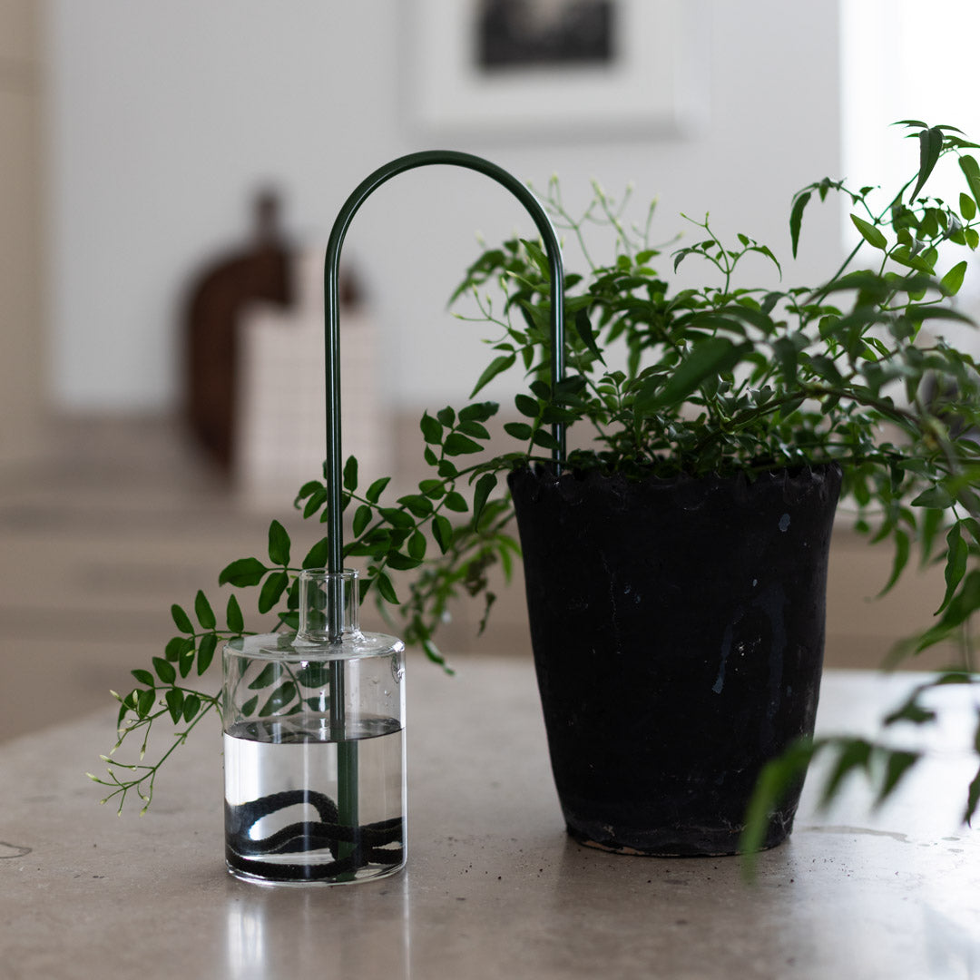 Plant Straws Medium