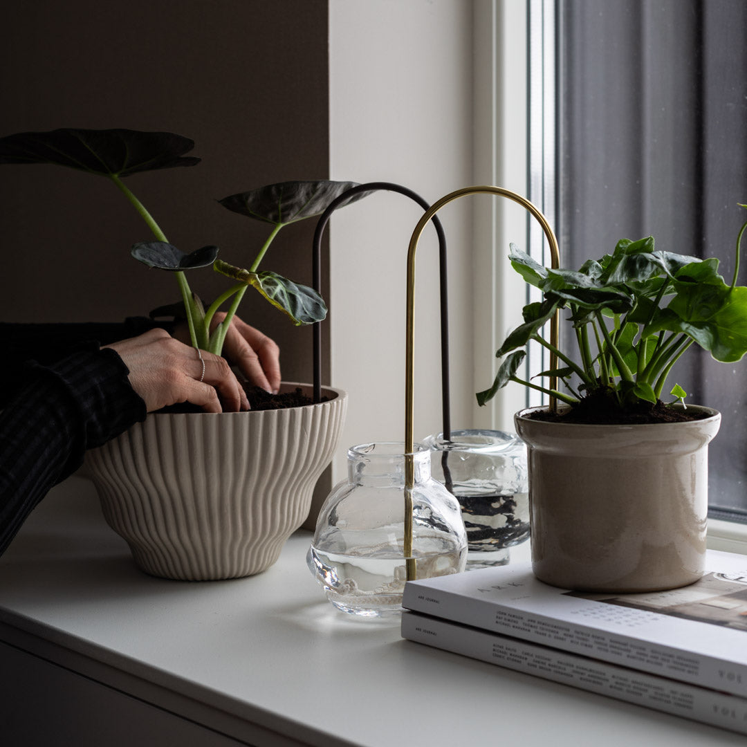 Plant Straws Medium
