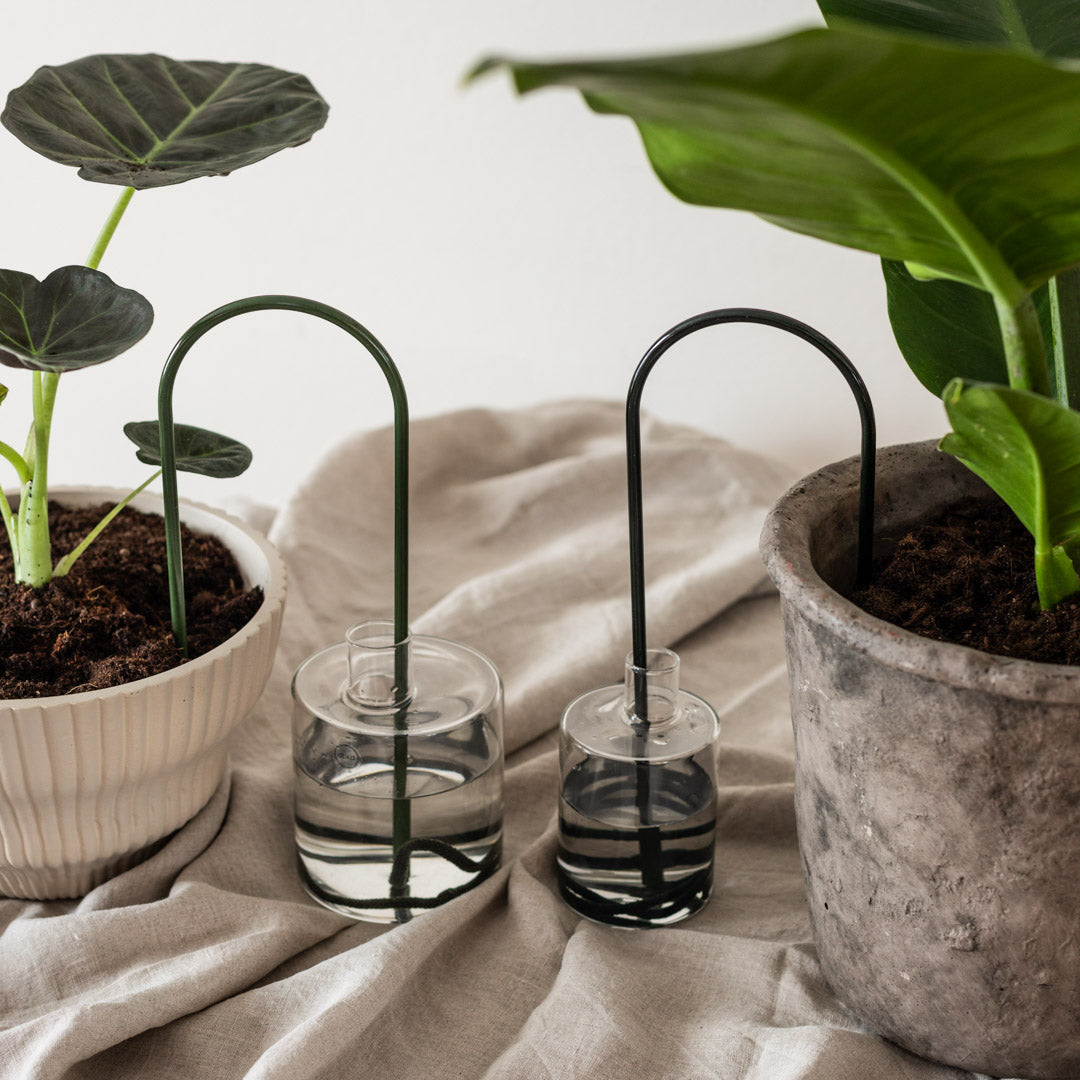 Plant Straws Medium