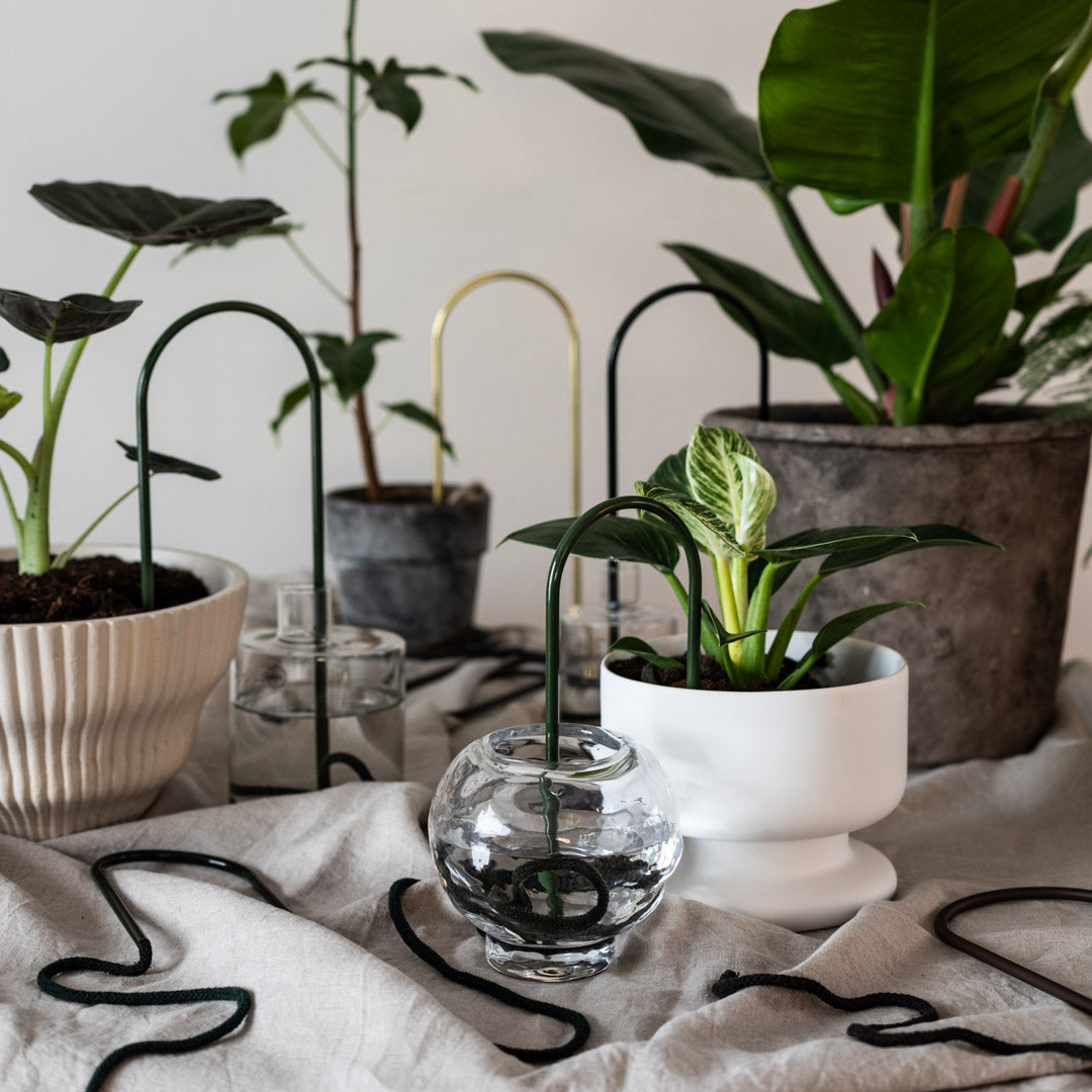 Plant Straws Small