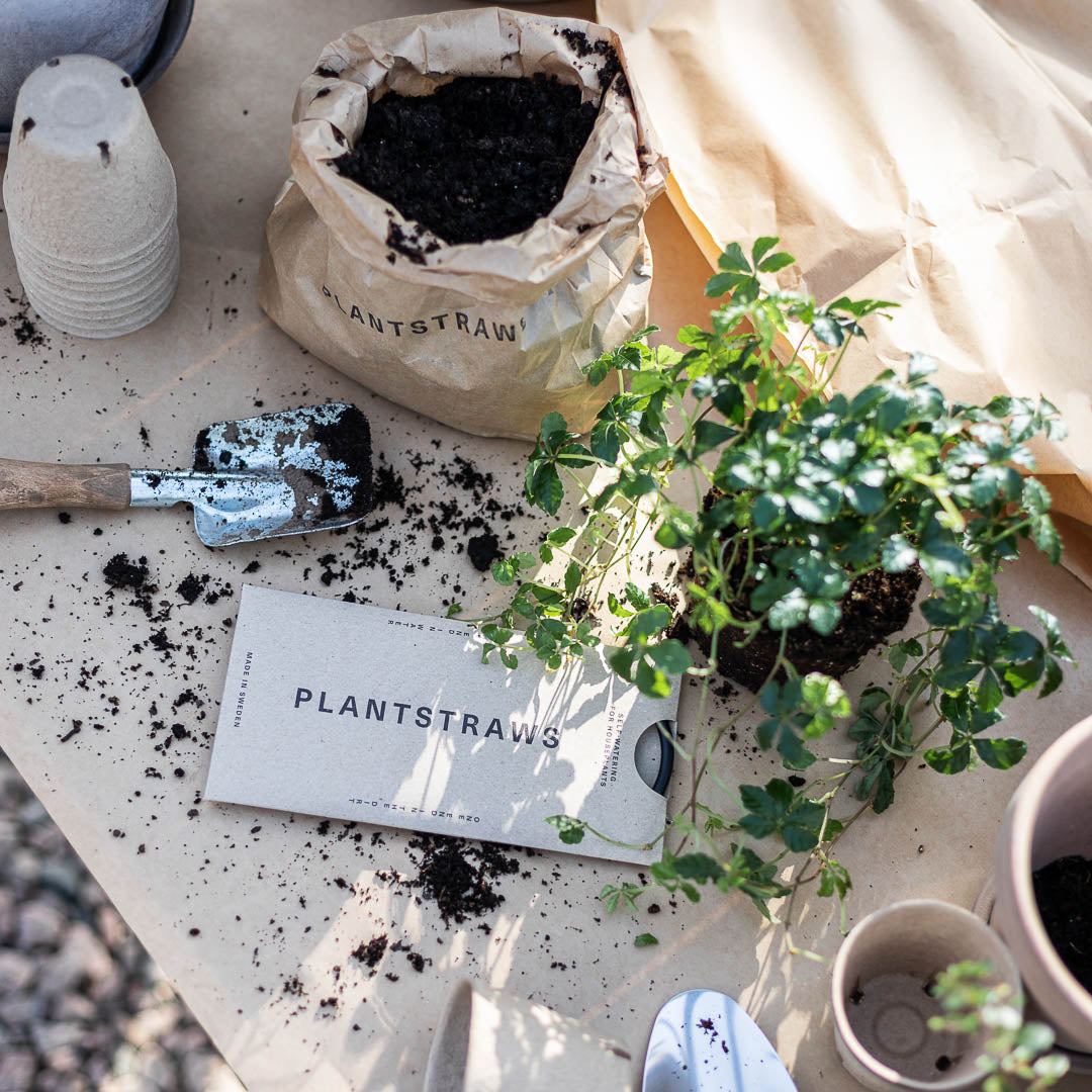 Plant Straws Small
