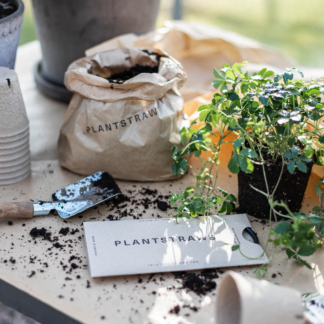 Plant Straws Small