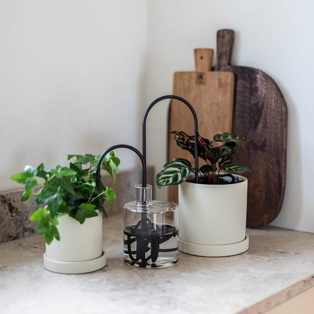 Plant Straws Small