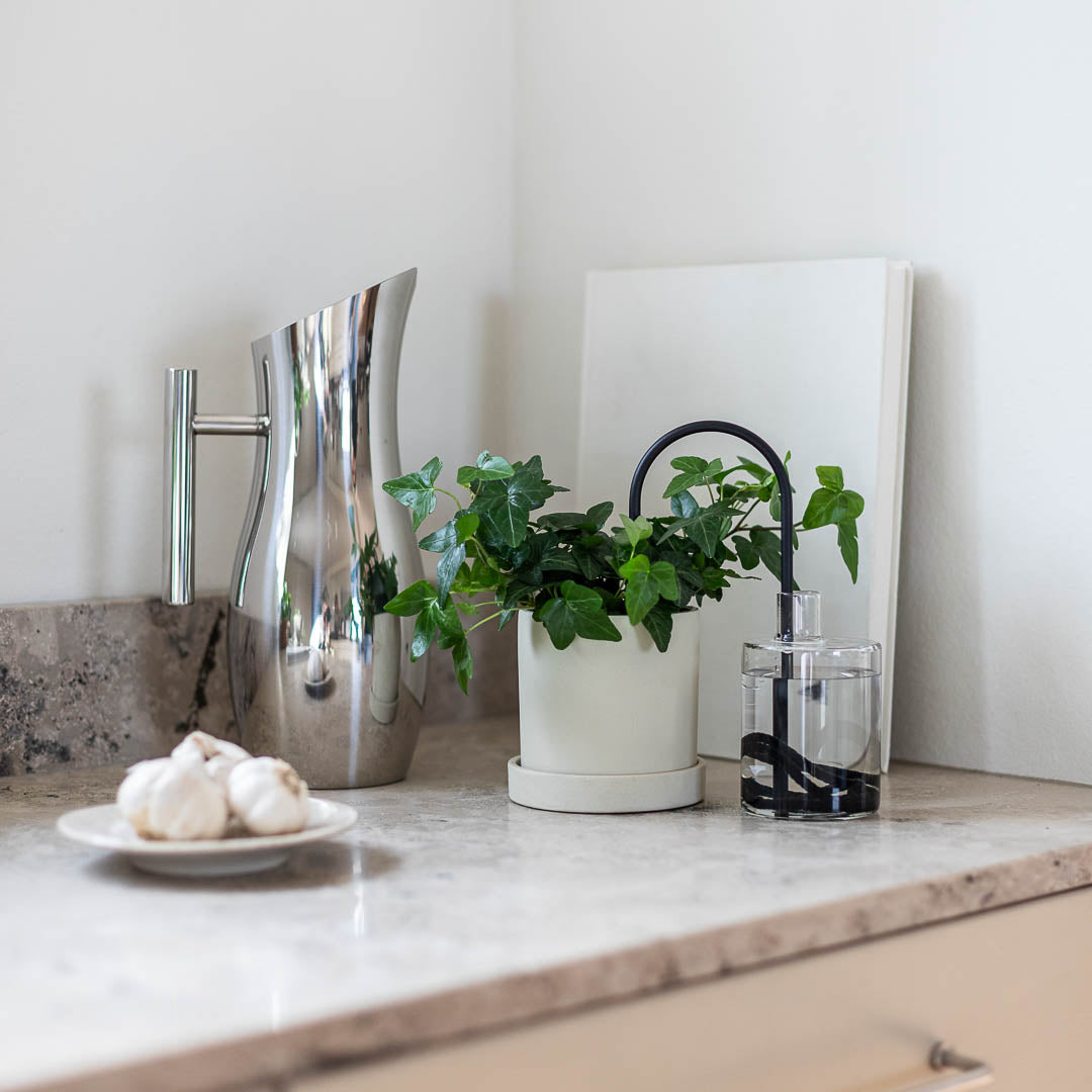 Plant Straws Small