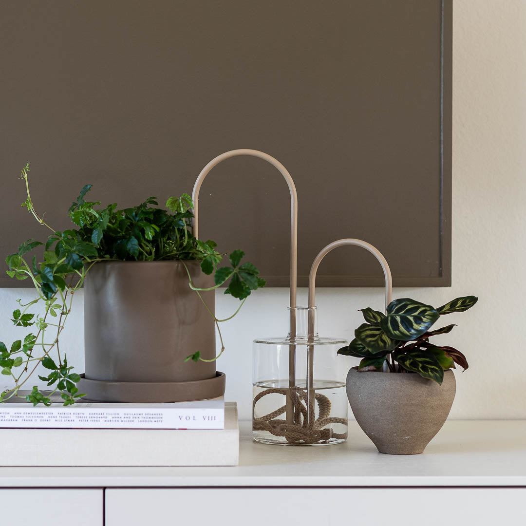 Plant Straws Small