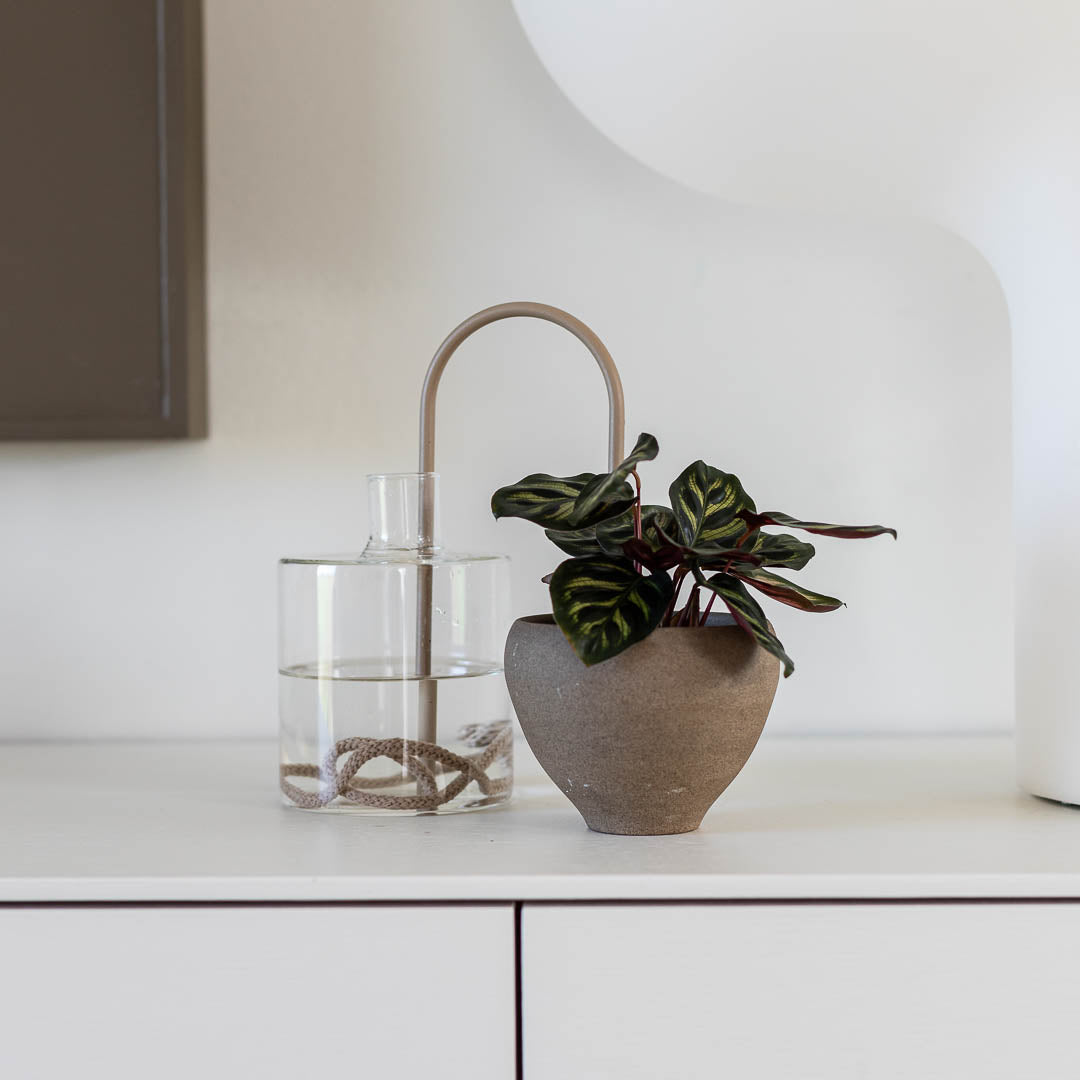 Plant Straws Small