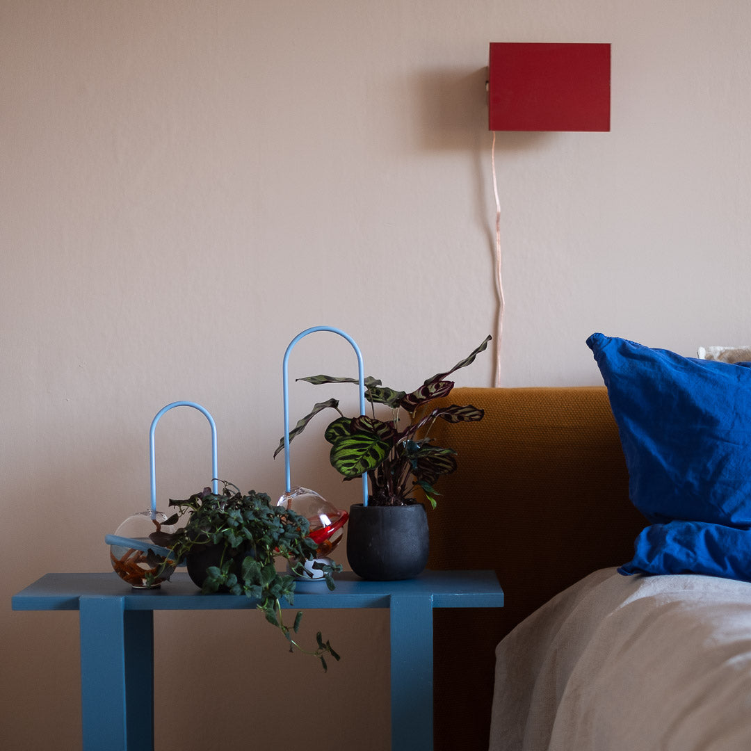 Plant Straws Small
