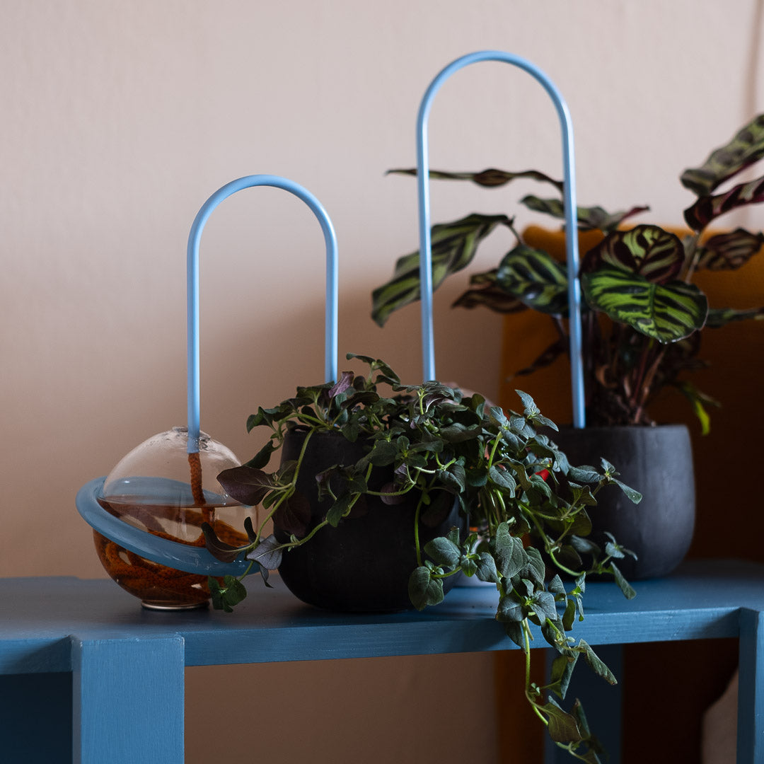 Plant Straws Small