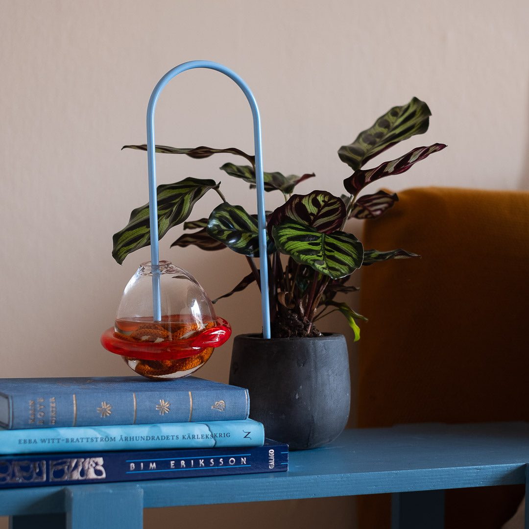 Plant Straws Small