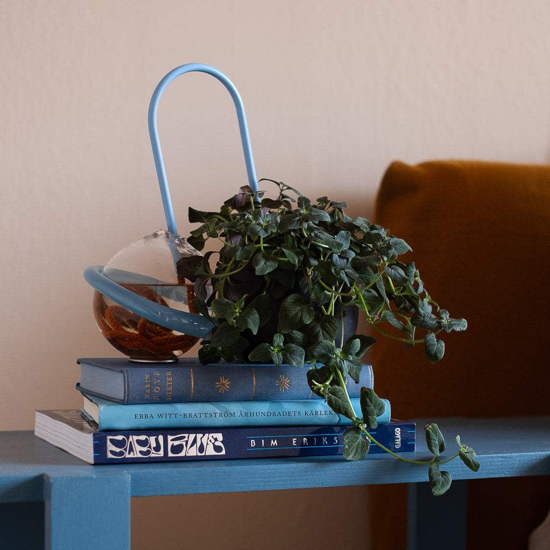 Plant Straws Small