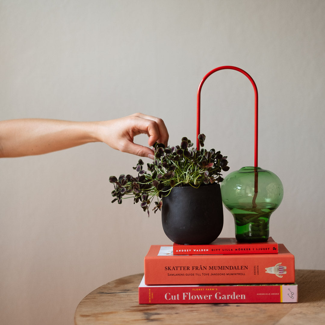 Plant Straws Small