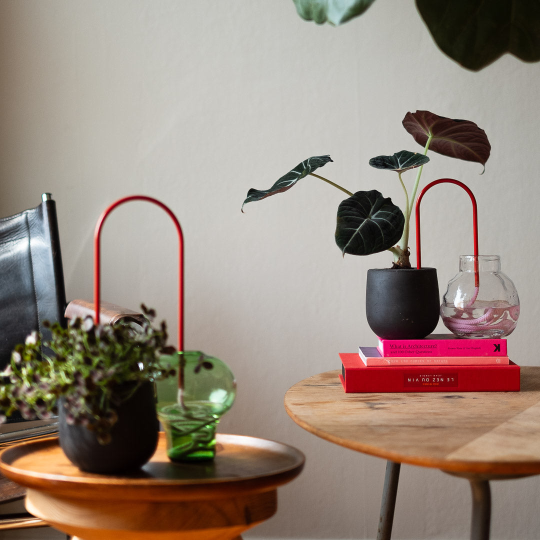 Plant Straws Small