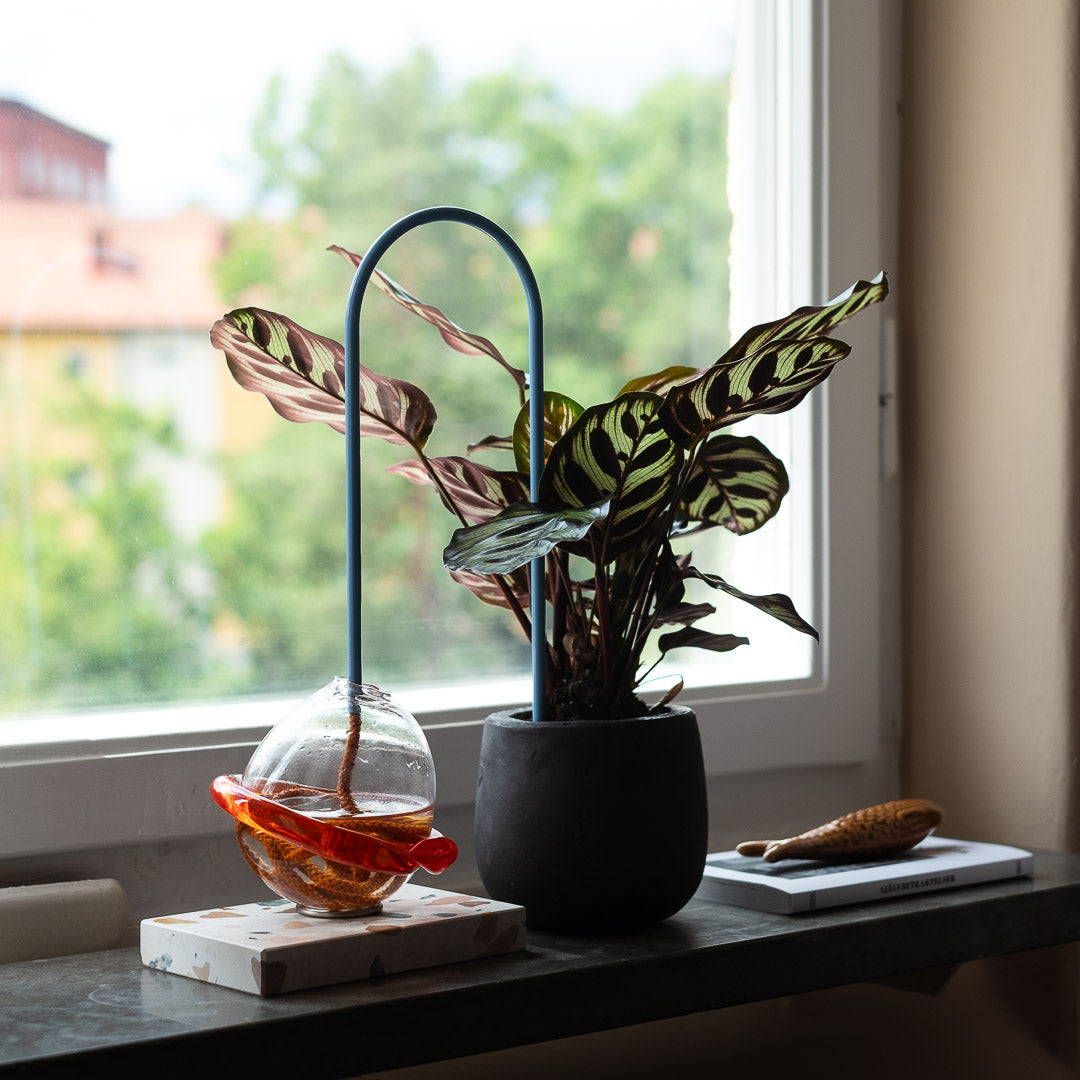 Plant Straws Small
