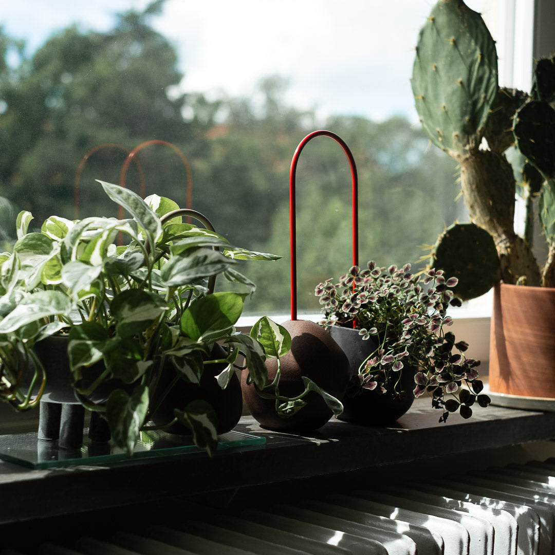 Plant Straws Small