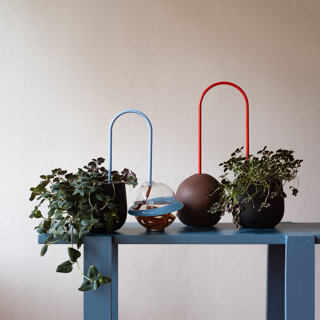 Plant Straws Small