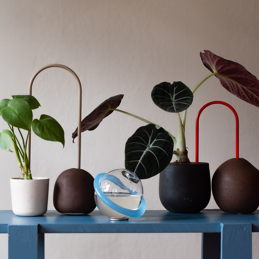 Plant Straws Small