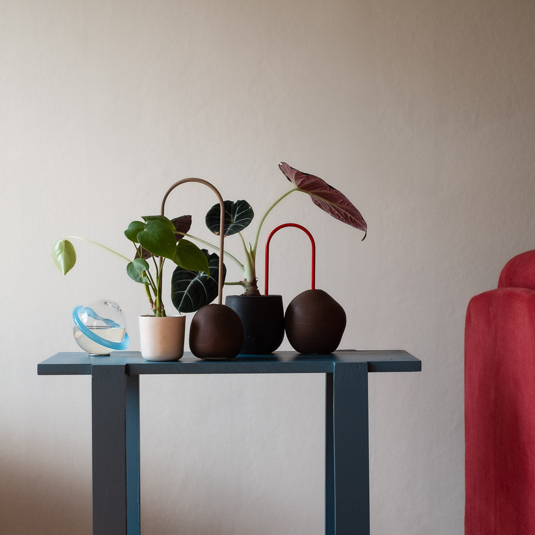 Plant Straws Small
