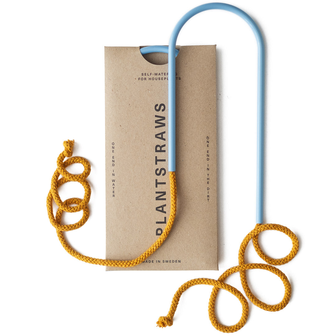 Plant Straws Small