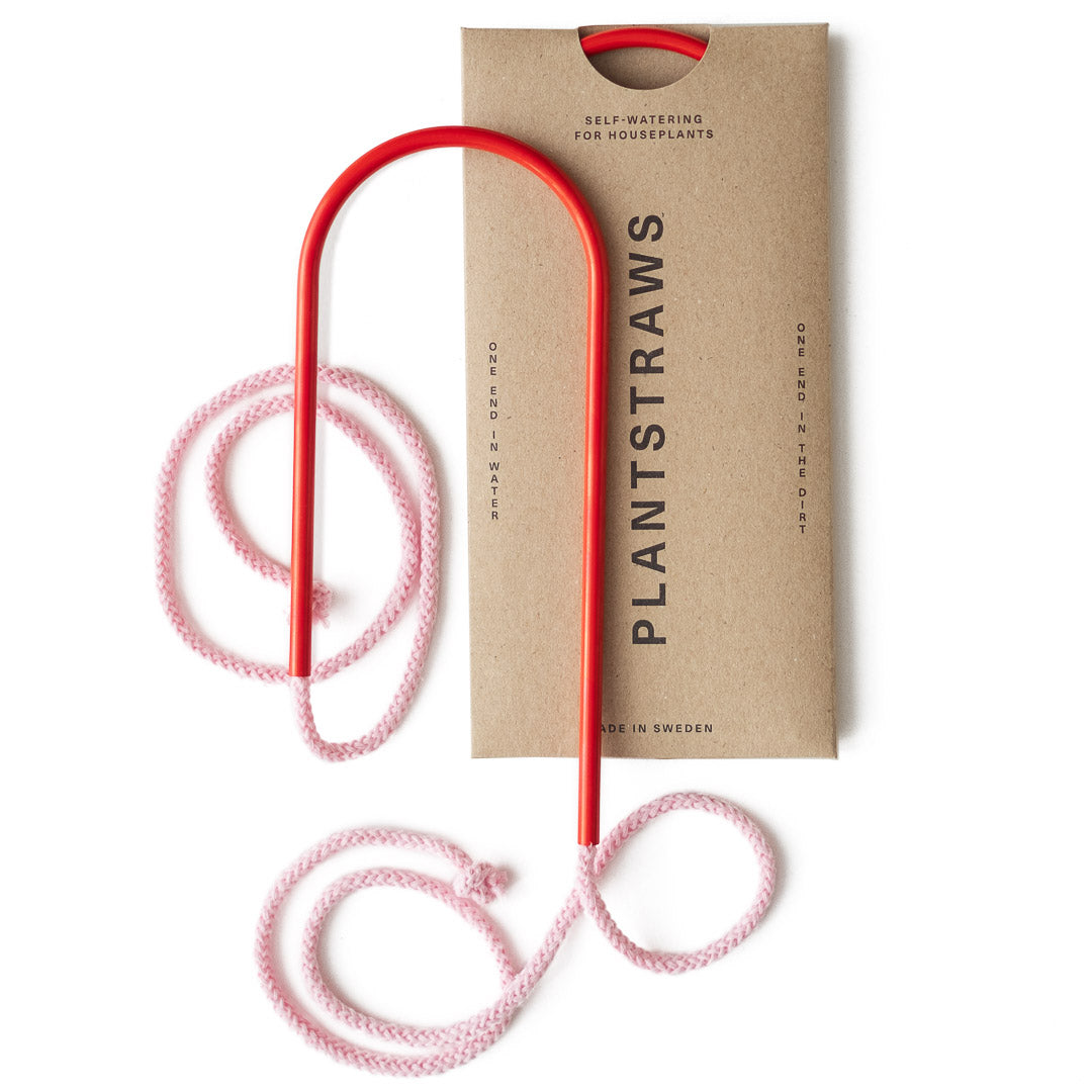 Plant Straws Small