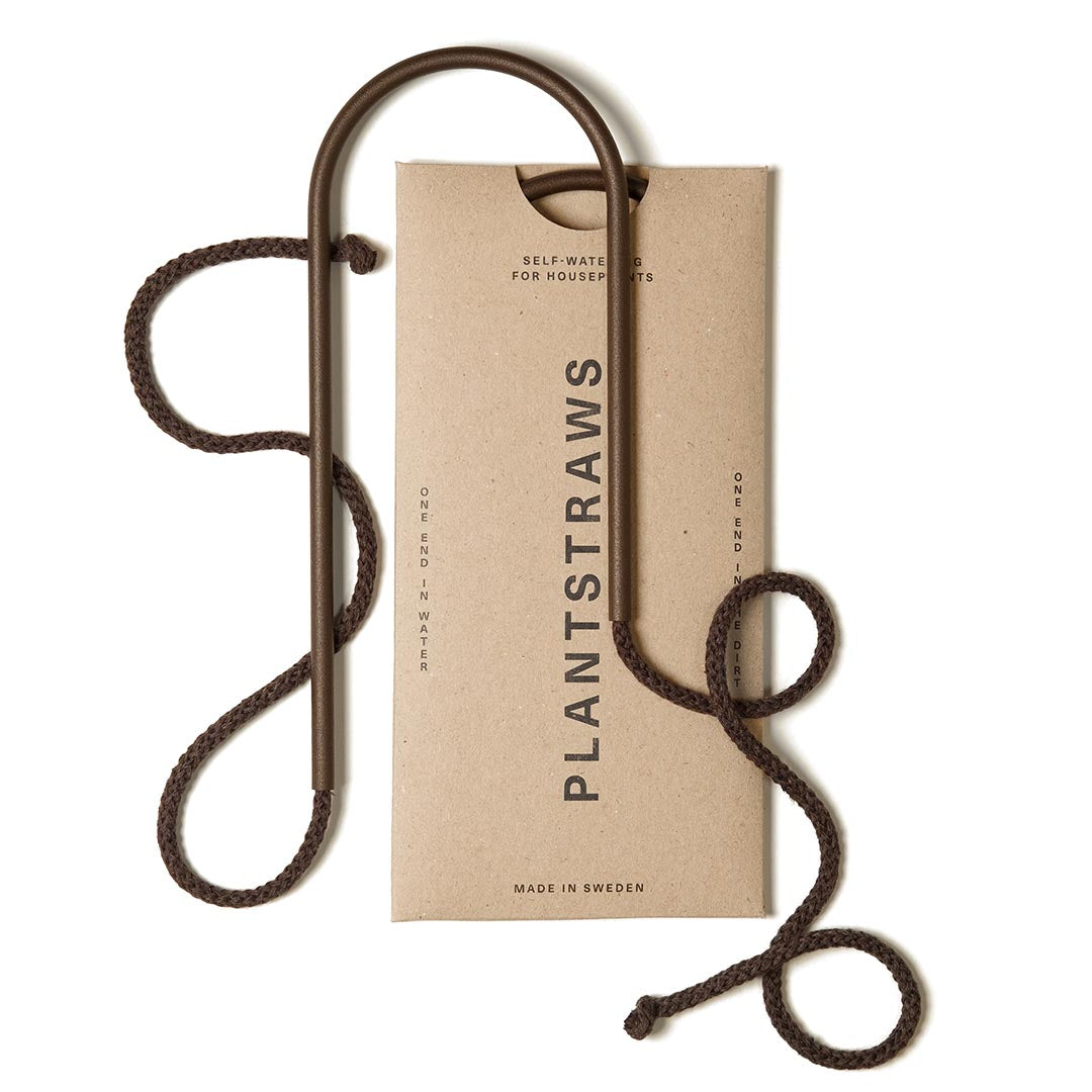 Plant Straws Small