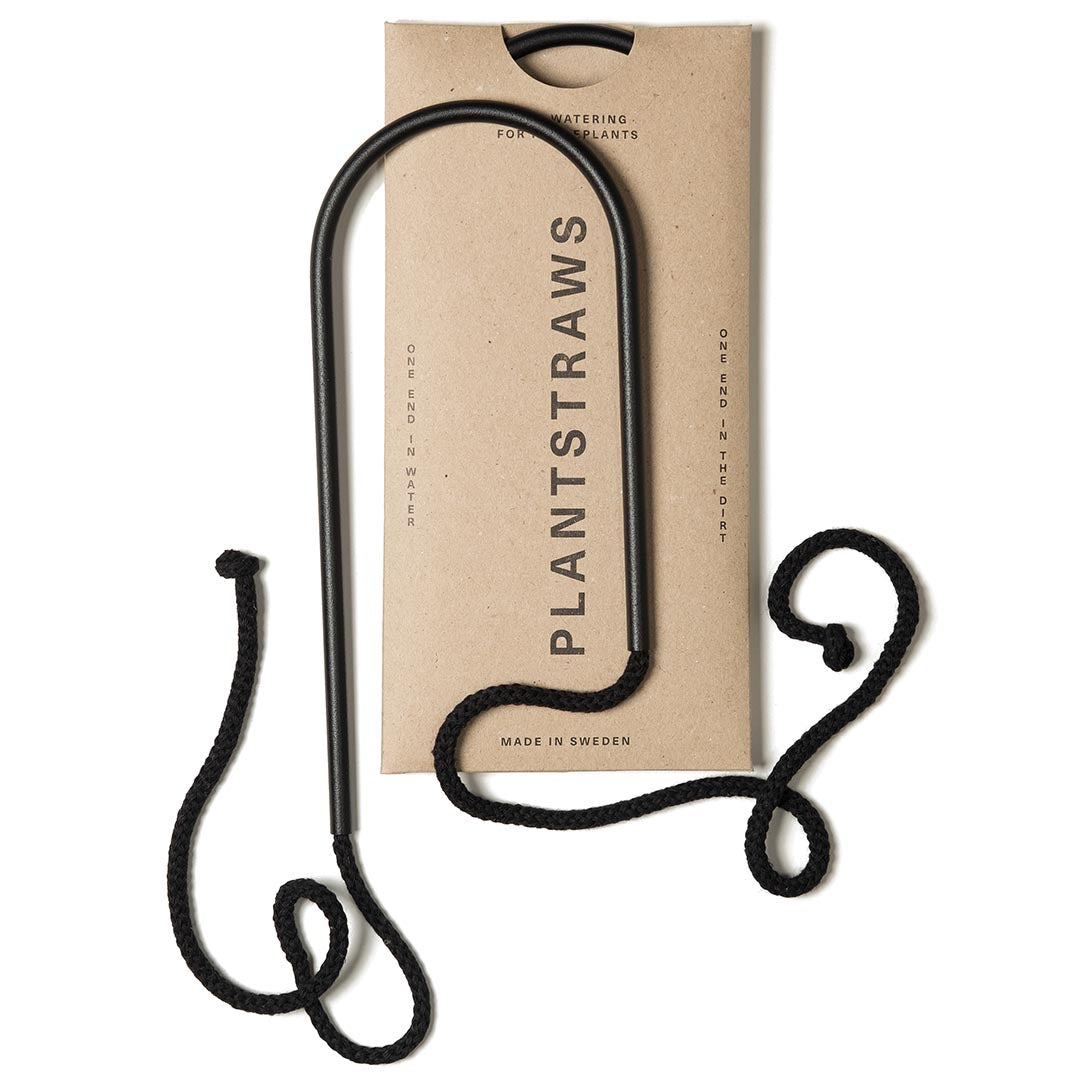Plant Straws Small