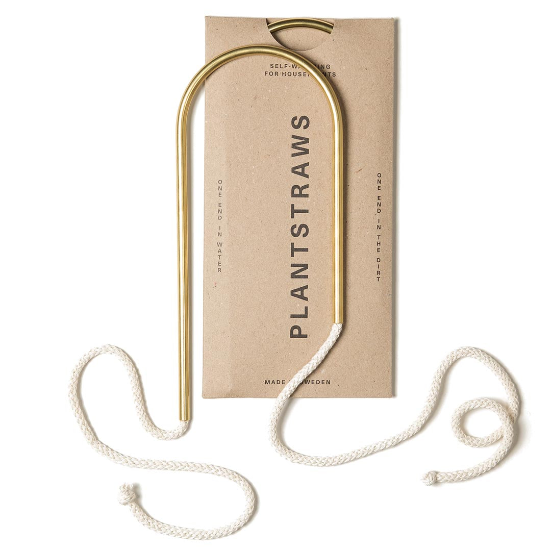 Plant Straws Small