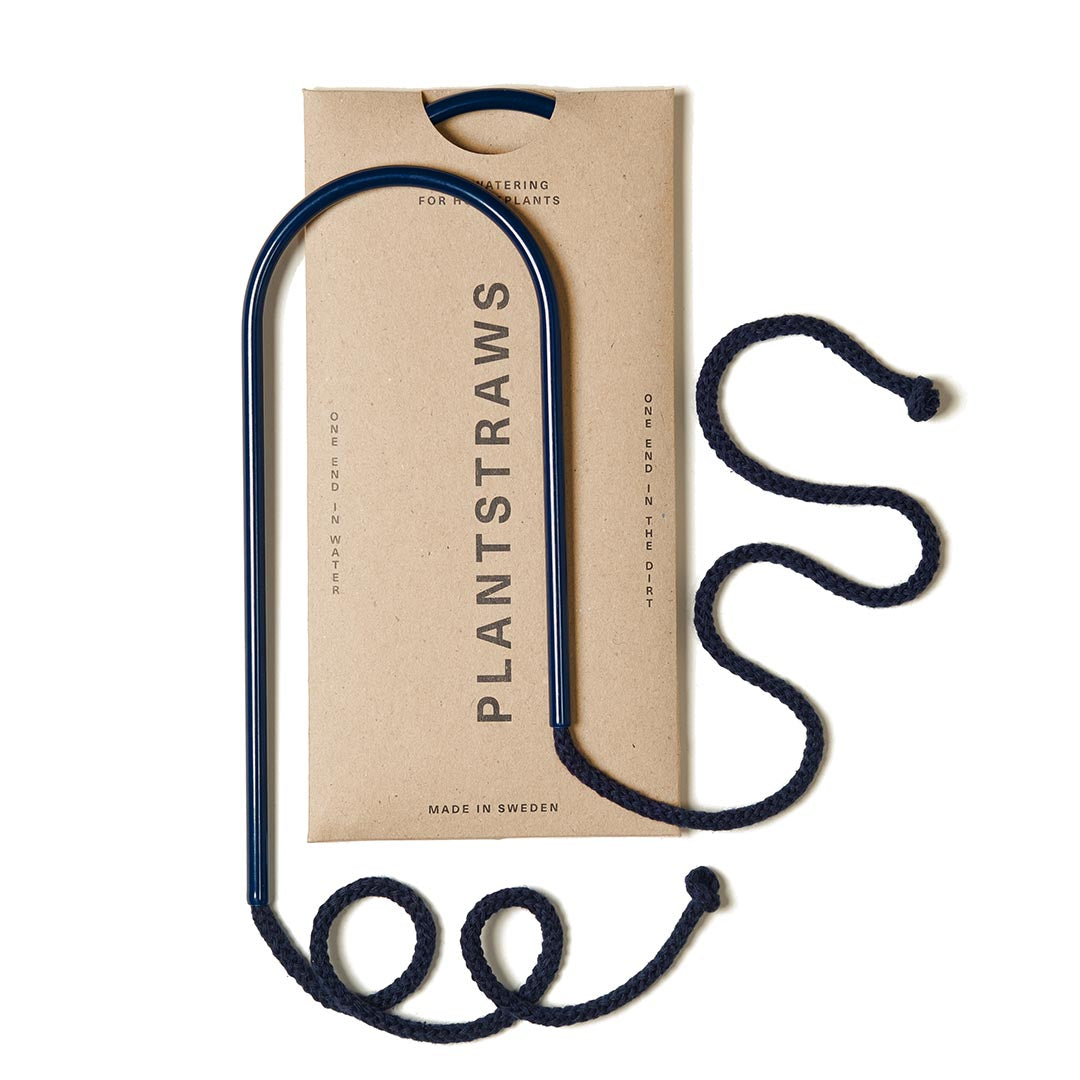 Plant Straws Small