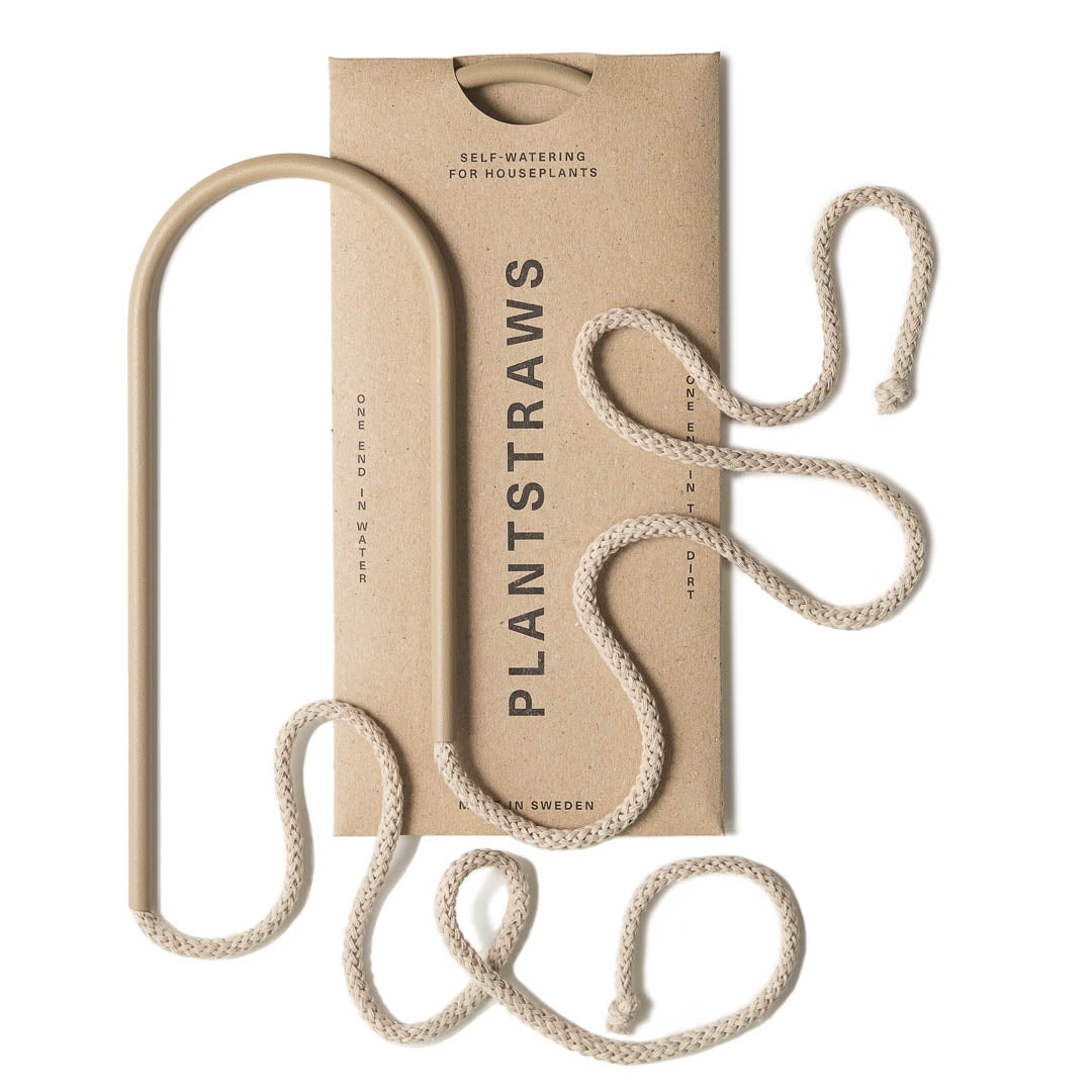 Plant Straws Small