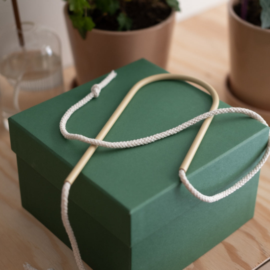 Plant Straw Beige