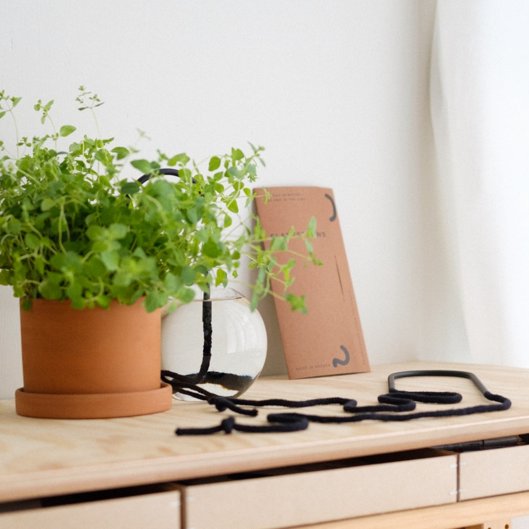 Plant Straw Black