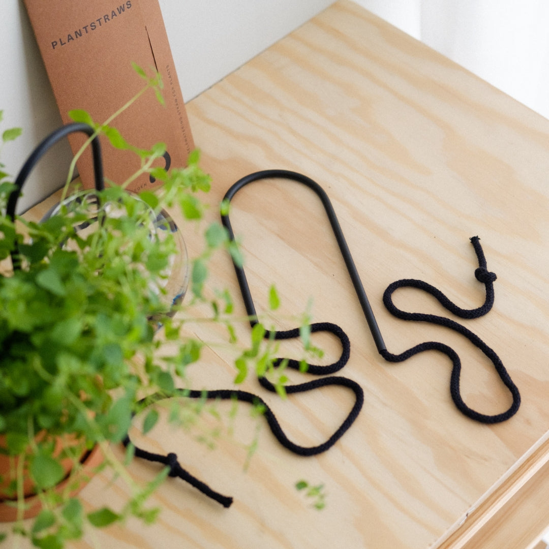Plant Straw Black