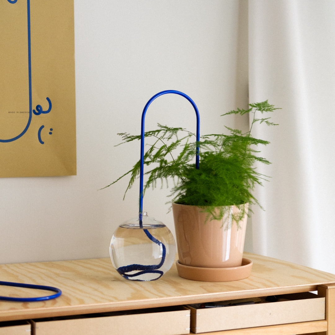 Plant Straw Blue