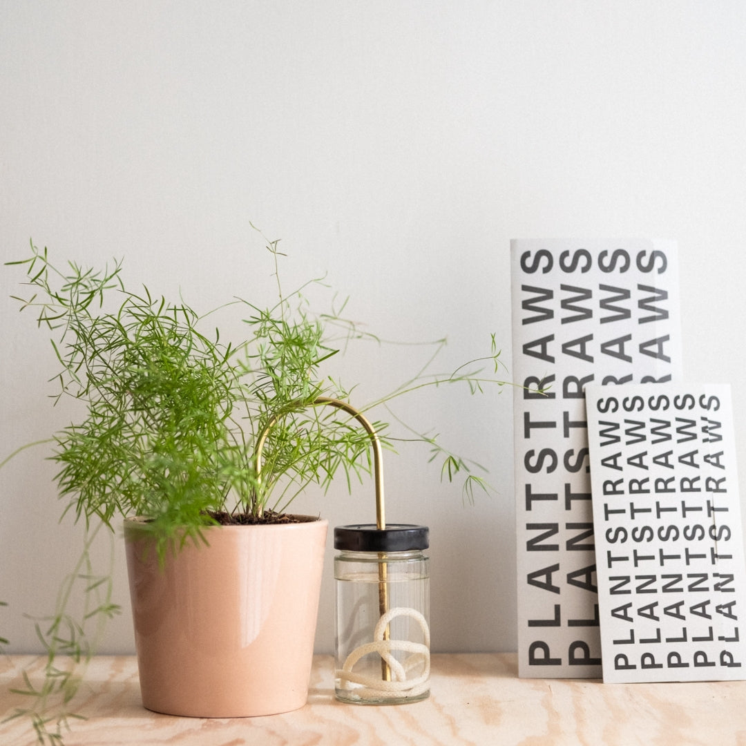 Plant Straw Brass