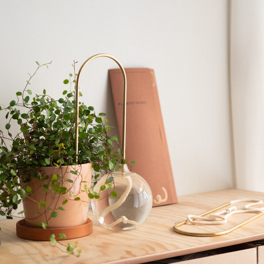 Plant Straw Brass